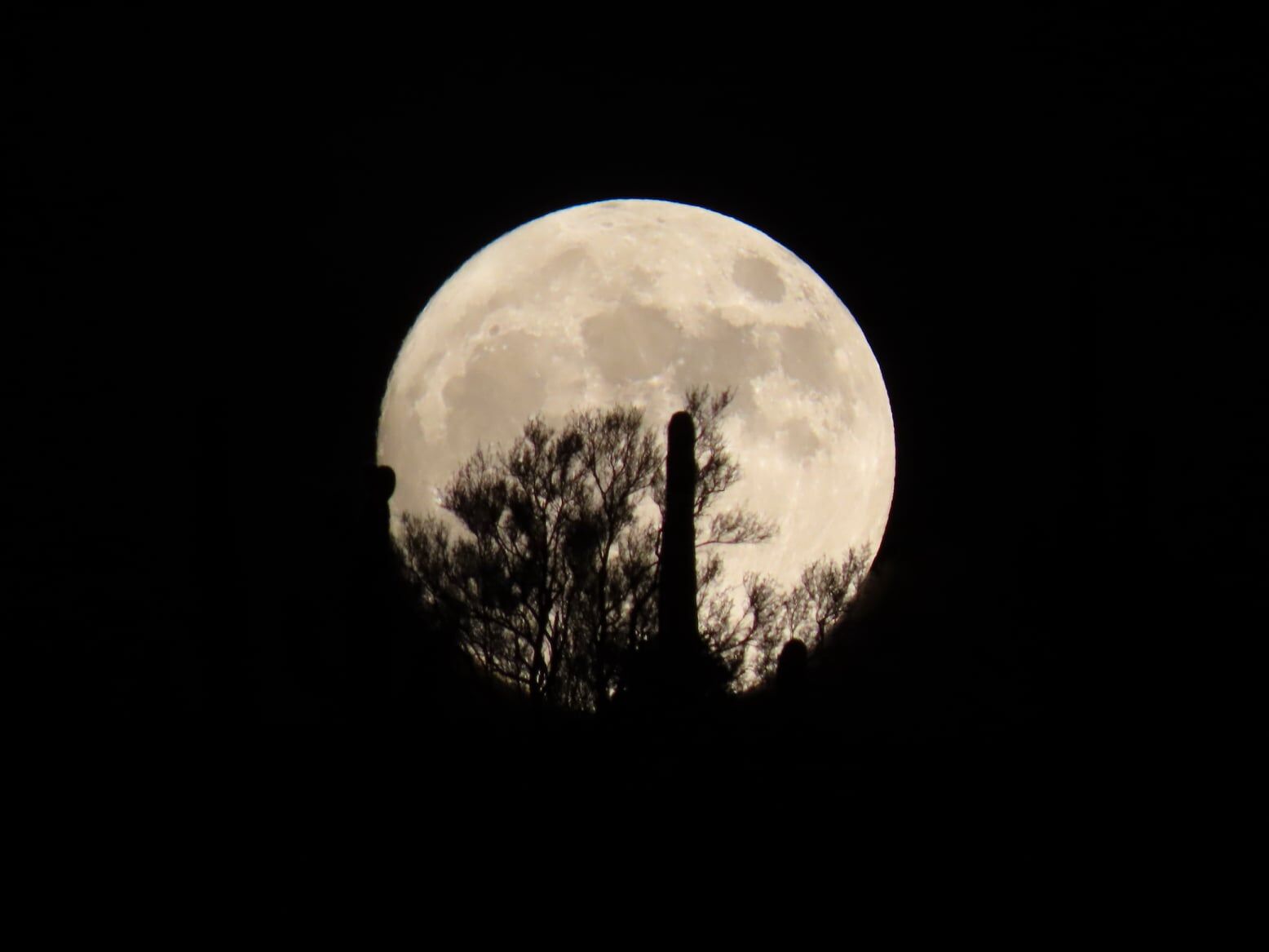 Full moon at Spur Cross Ranch Conservation Area